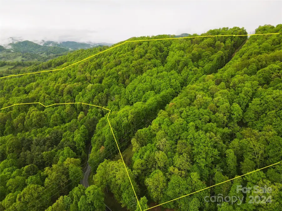 000 Mountain Air Drive, Burnsville, NC 28714 - Image #3