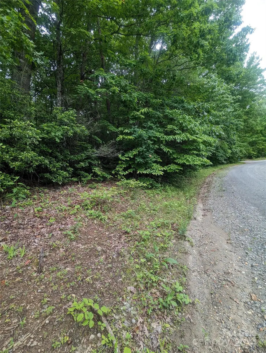 00 Jones Court #LOT 552, Lake Lure, NC 28746 - Image #3