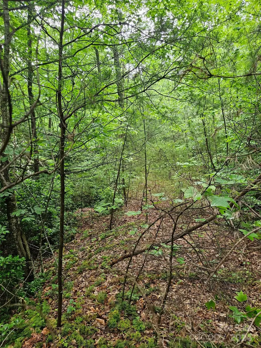 00 Brookside Parkway #24, Lake Lure, NC 28746 - Image #2