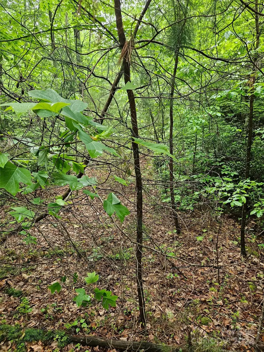 00 Brookside Parkway #24, Lake Lure, NC 28746 - Image #3