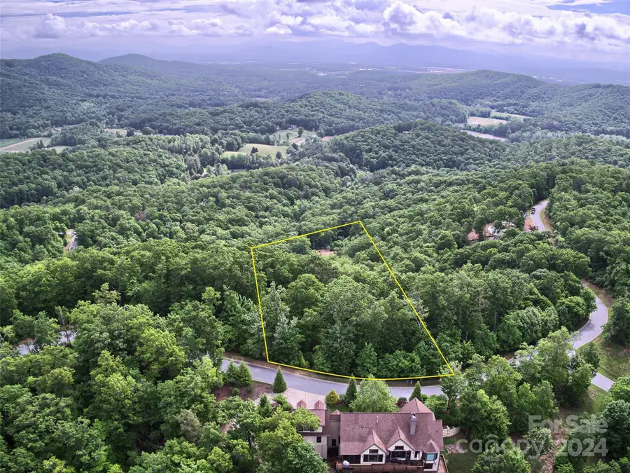 1094 Mills River Way #46, Horse Shoe, NC 28742 - Image #3