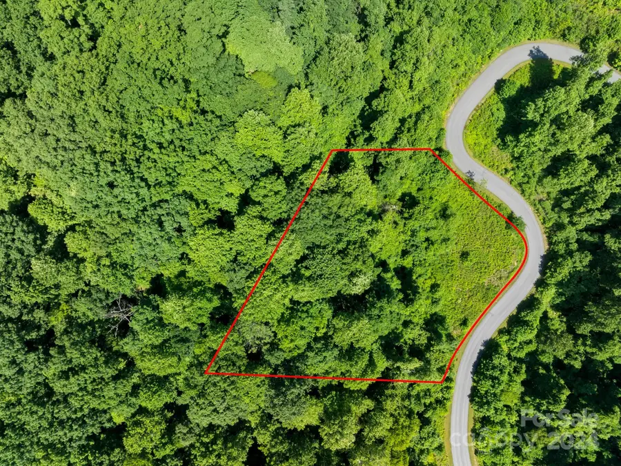 0 Bison Meadows #270, Lake Lure, NC 28746 - Image #2