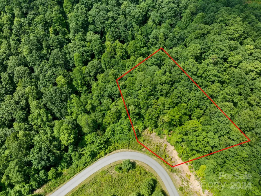 0 Glen Ridge Trail #335, Lake Lure, NC 28746 - Image #3