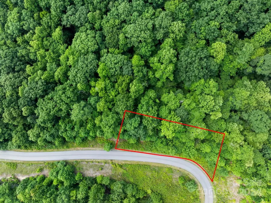 0 Glen Ridge Trail #334, Lake Lure, NC 28746 - Image #2