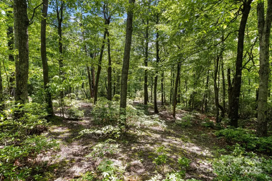 99999 Arrowhead Trail #80, Columbus, NC 28722 - Image #2