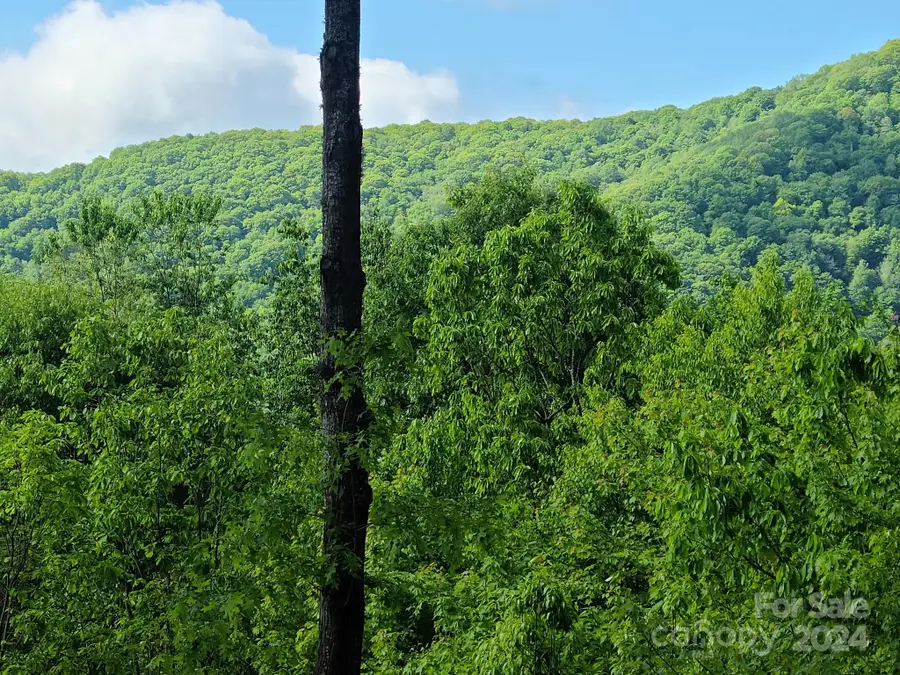 00 Rising Sun Lane #338, Waynesville, NC 28786 - Image #3