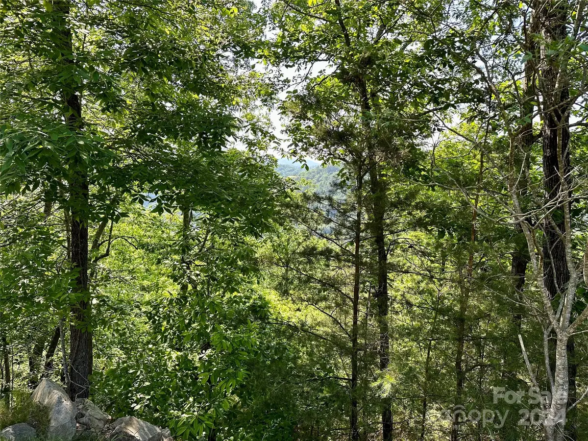 387 Wild River Run #6, Marshall, NC 28753 - Image #1