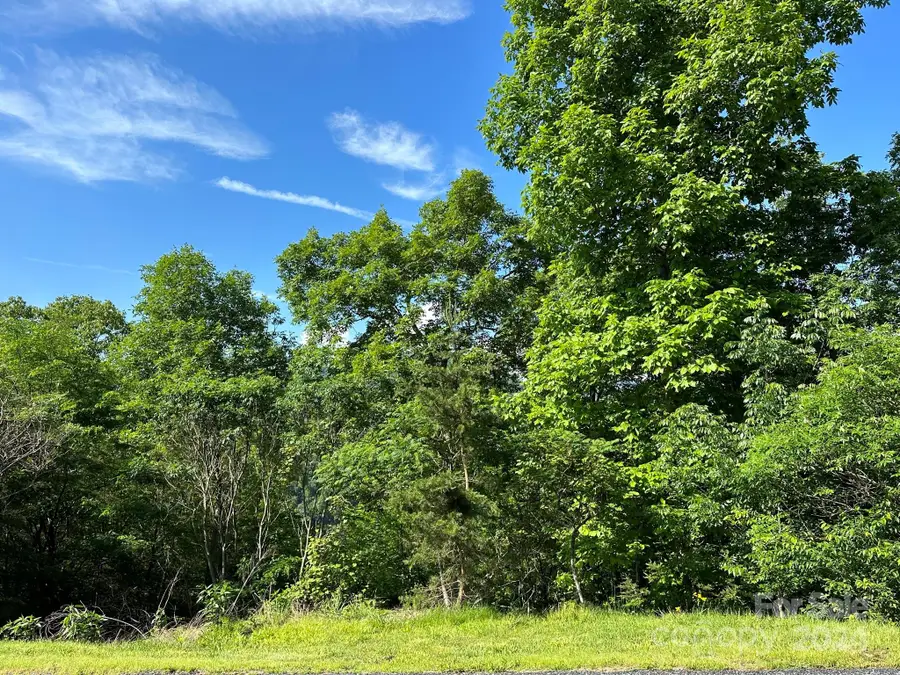 387 Wild River Run #6, Marshall, NC 28753 - Image #2