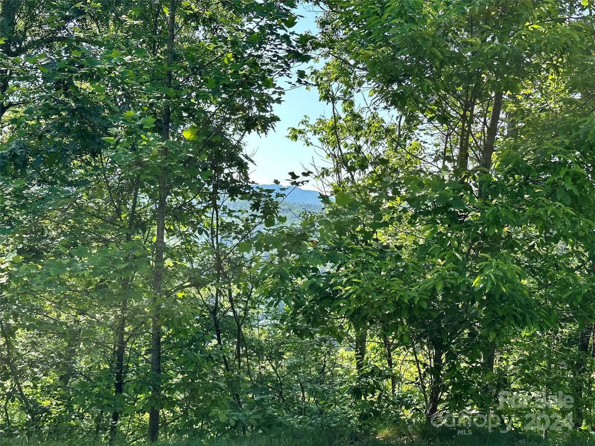 385 Wild River Run #7, Marshall, NC 28753 - Image #1