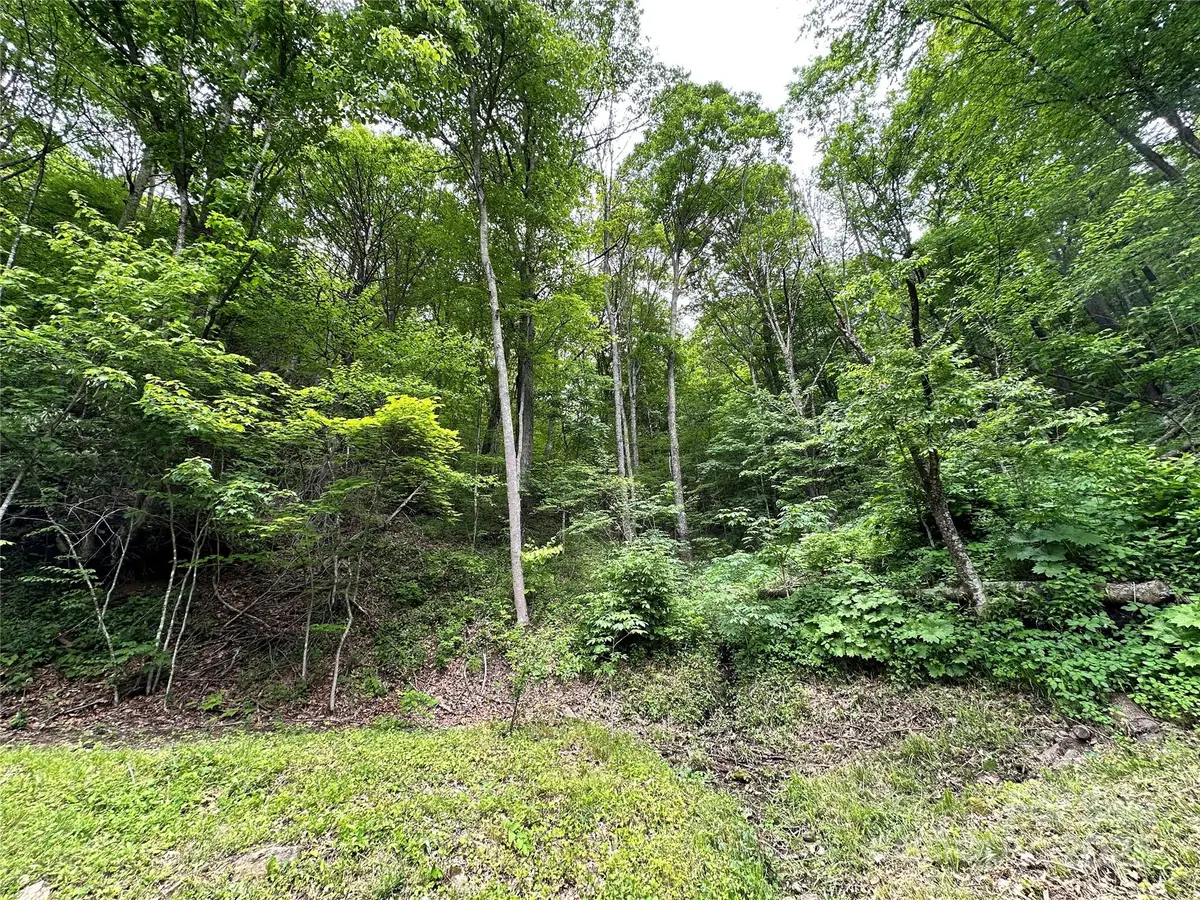 0 Laurel Ridge Road, Maggie Valley, NC 28751 - Image #1