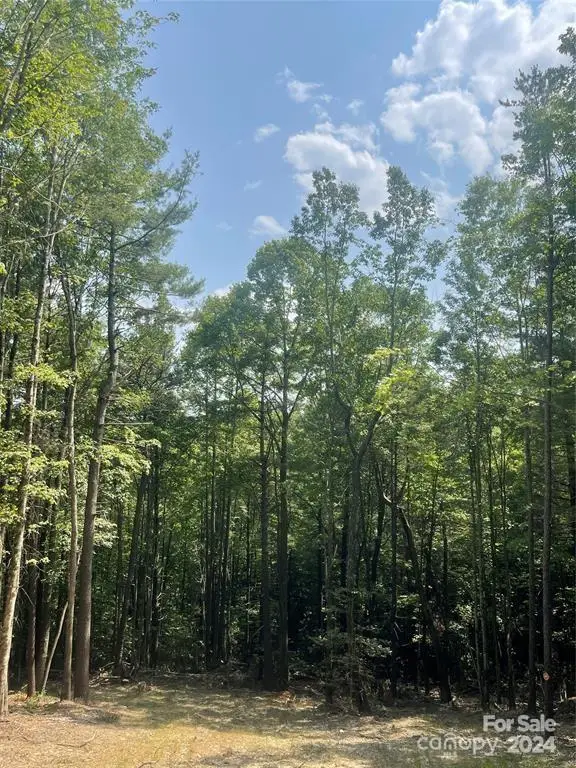 0 Sampson Road, Lenoir, NC 28645 - Image #2