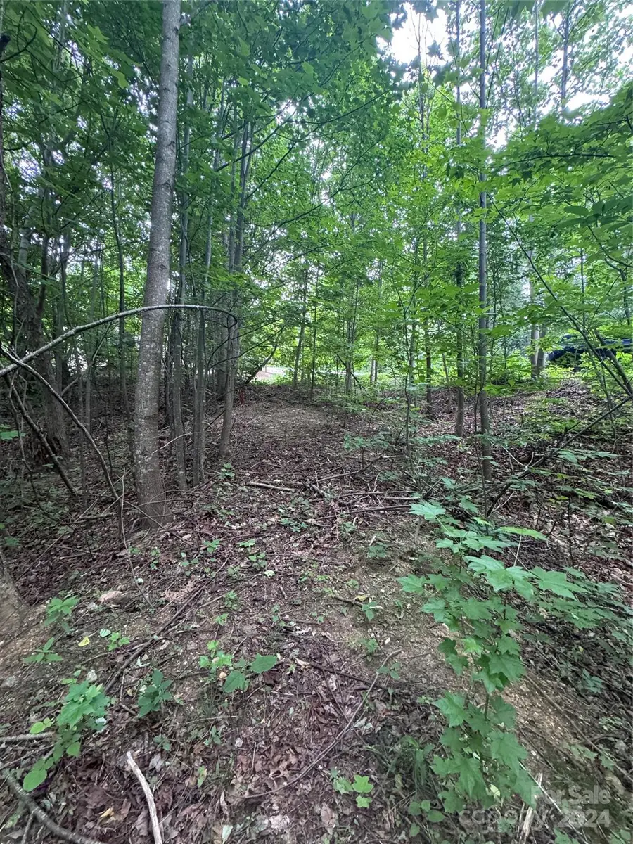 0 Holland Drive #18, Columbus, NC 28722 - Image #2