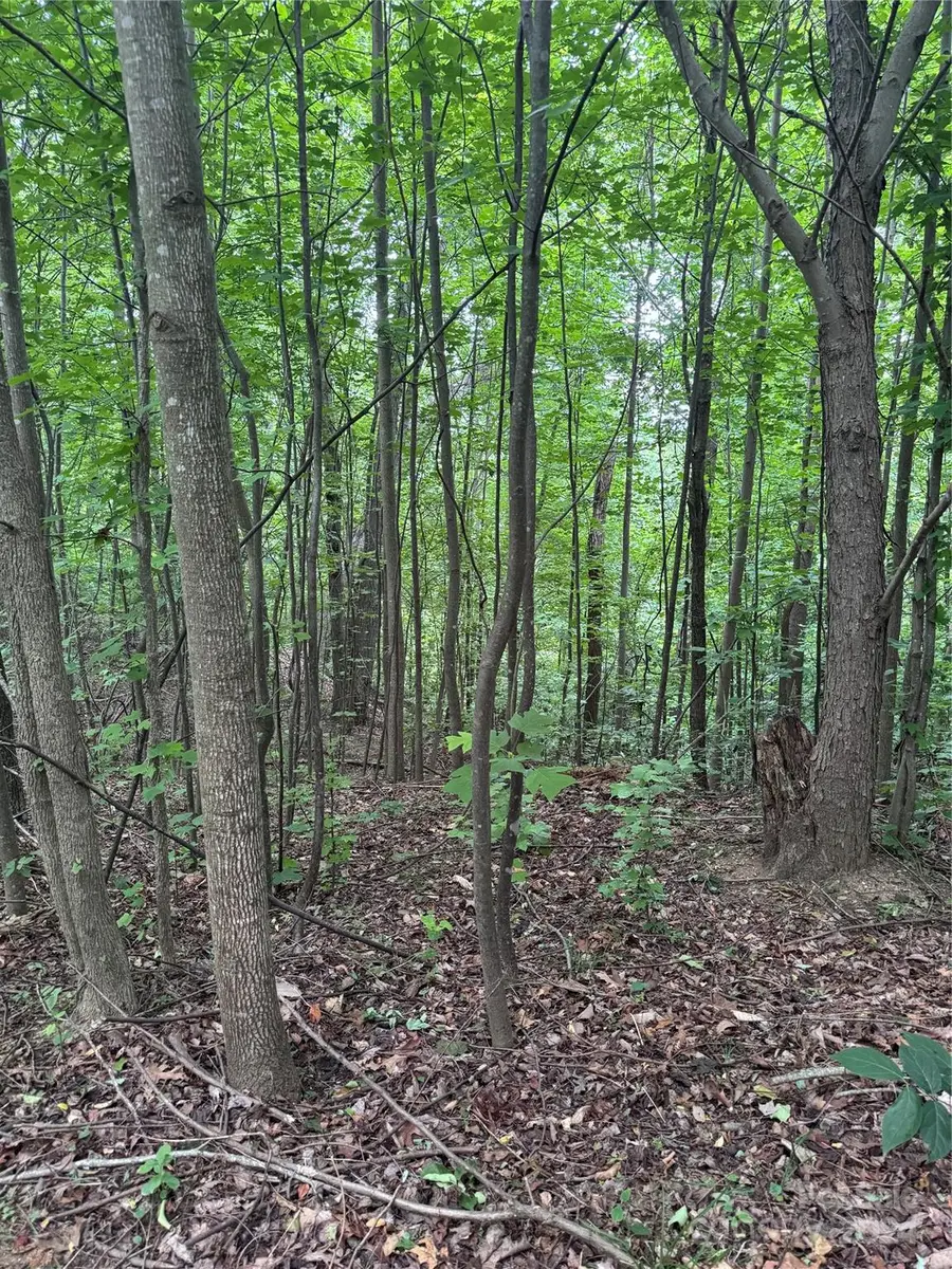 0 Holland Drive #18, Columbus, NC 28722 - Image #3