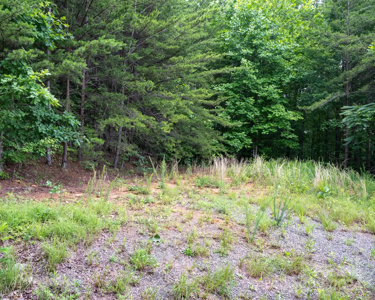 TBD Chicory Drive, Marion, NC 28752 - Image #1