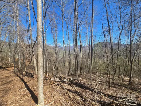 000 Brasstown Road, Cullowhee, NC 28723