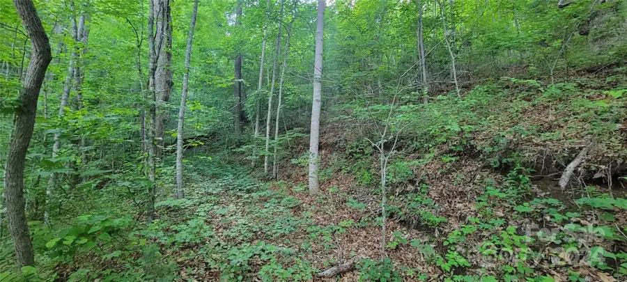 00 Everidge Drive, Canton, NC 28716 - Image #3