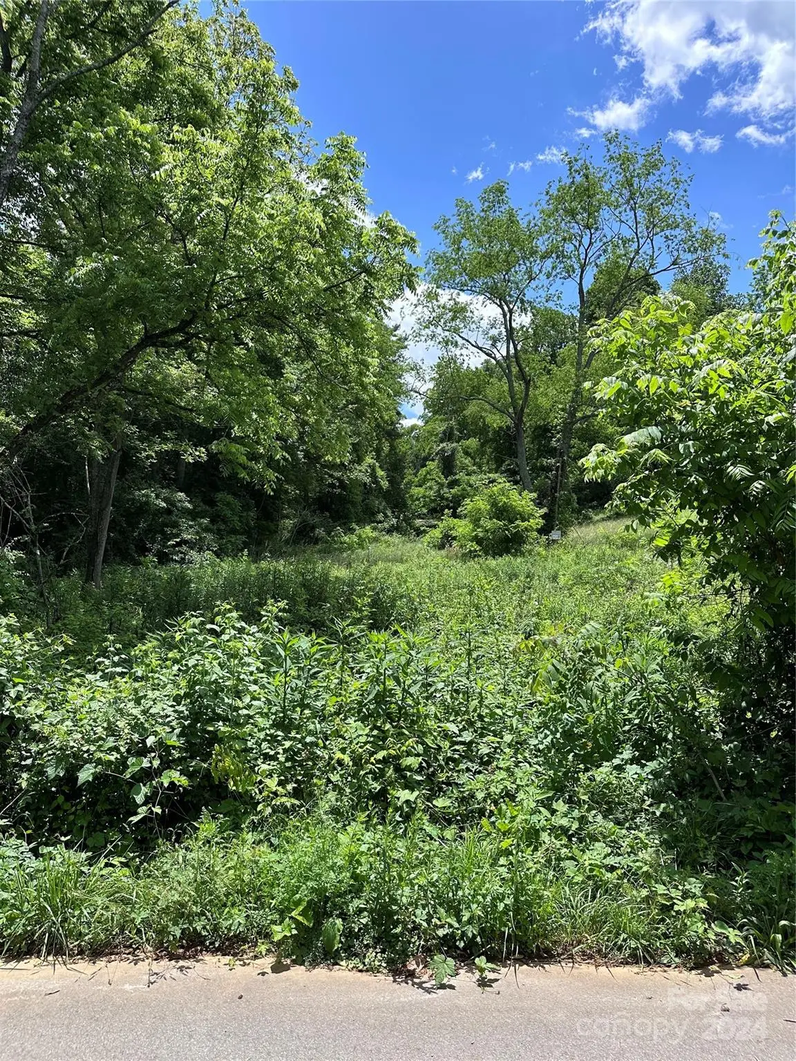 109 Round Table Trail #Lot 7, Asheville, NC 28803 - Image #1