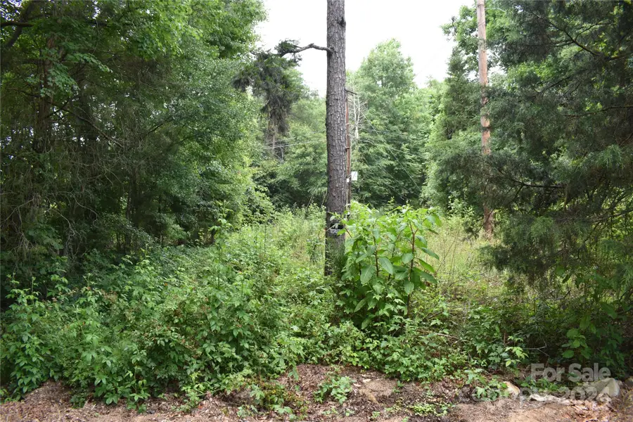 1690 Roseland Drive, Lincolnton, NC 28092 - Image #3