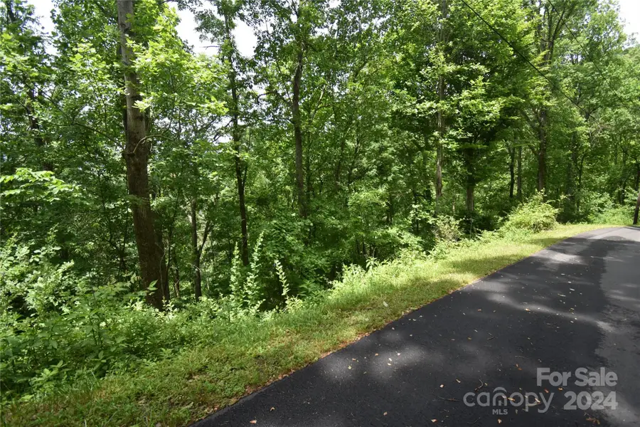 Lots 105&106 Cicada Drive, Maggie Valley, NC 28751 - Image #3