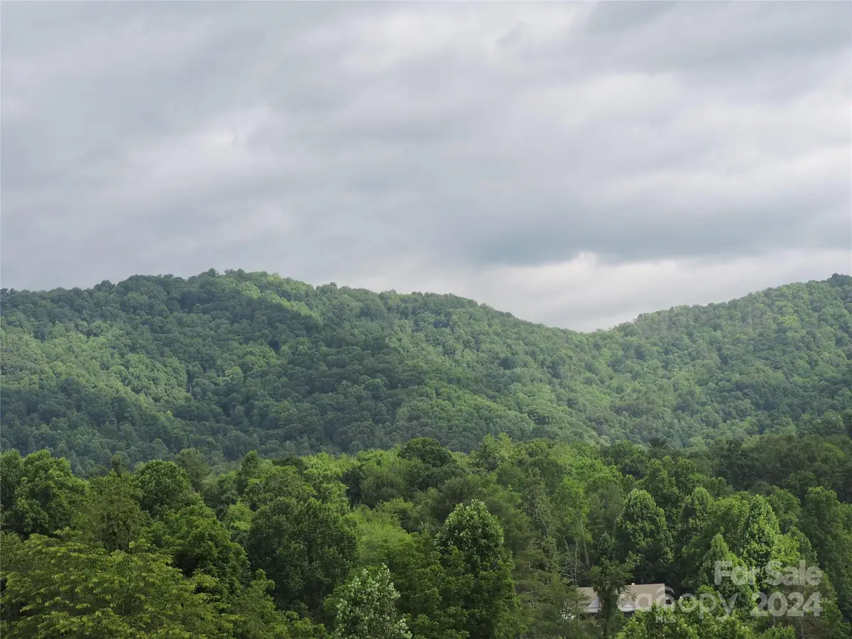 60 Gins Lane #lot 11, Mars Hill, NC 28754 - Image #1
