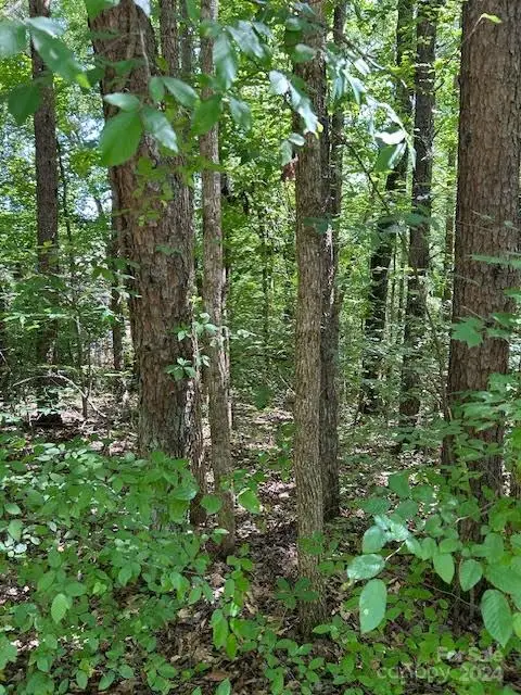 8145 Rowe Street, Catawba, NC 28609 - #2