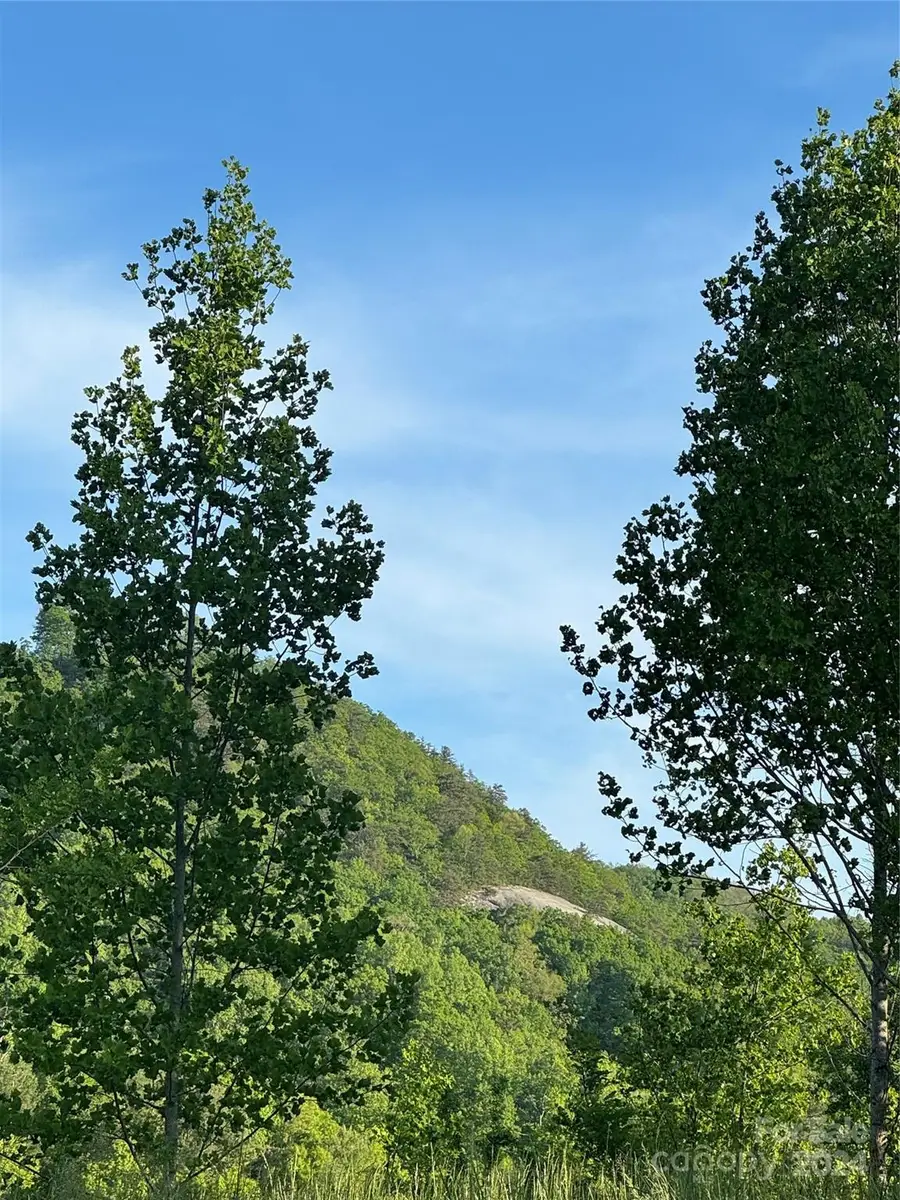 0 Waterfall Ridge Drive #8, Hendersonville, NC 28792 - Image #2