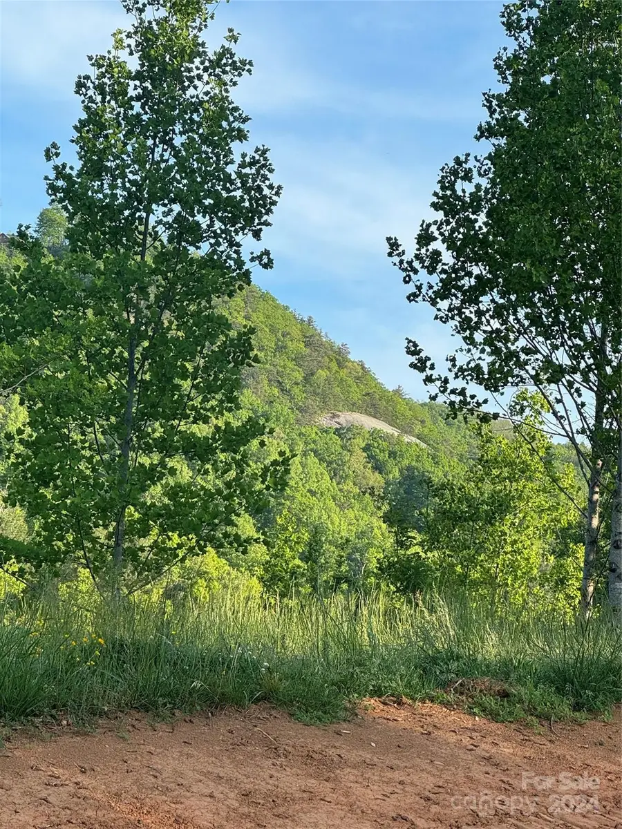 0 Waterfall Ridge Drive #8, Hendersonville, NC 28792 - Image #3