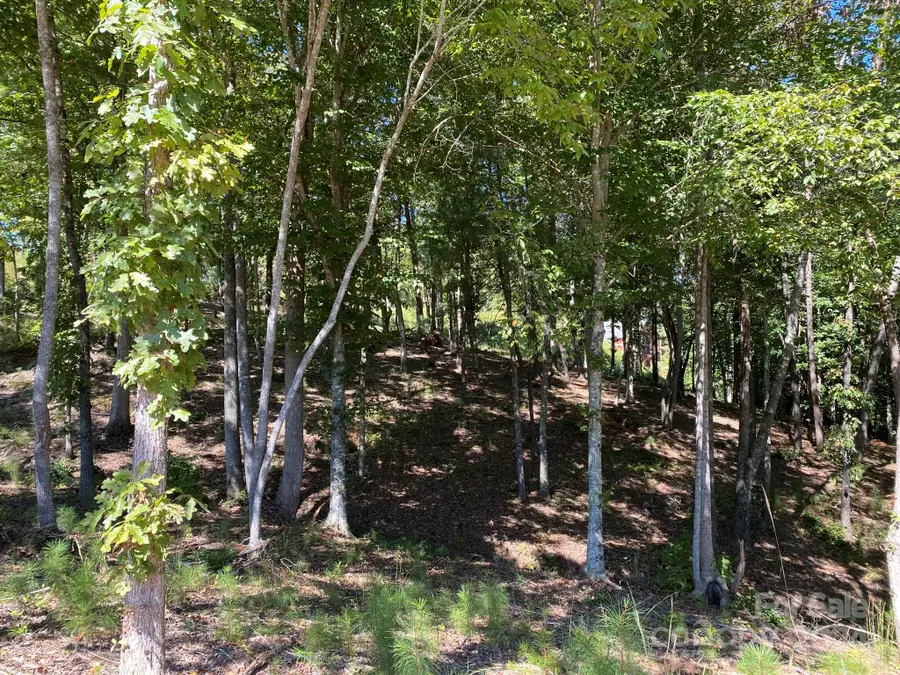 Lot 93 Leeward Lane #93, Granite Falls, NC 28630 - Image #3