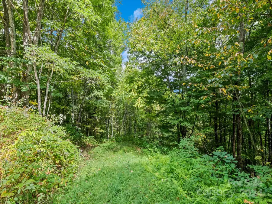 Lot C25 Asgi Trail #C-25, Maggie Valley, NC 28751 - Image #3