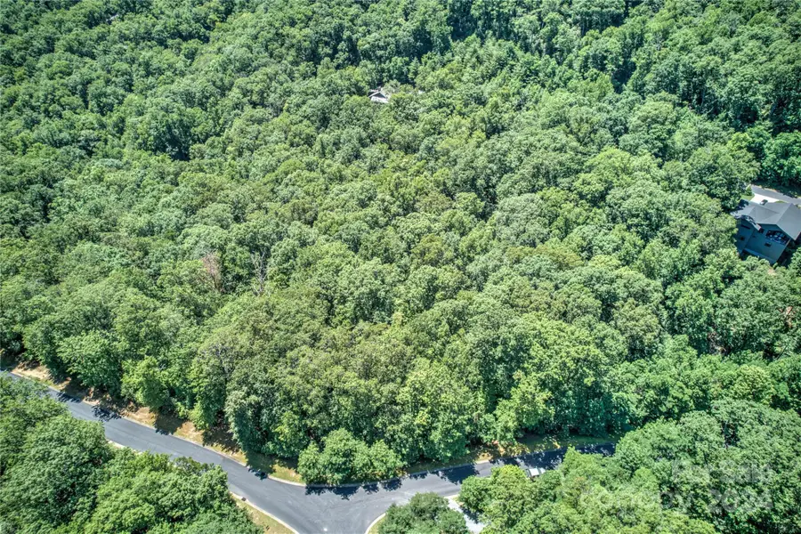 567 Shining Rock Path, Horse Shoe, NC 28742 - Image #3