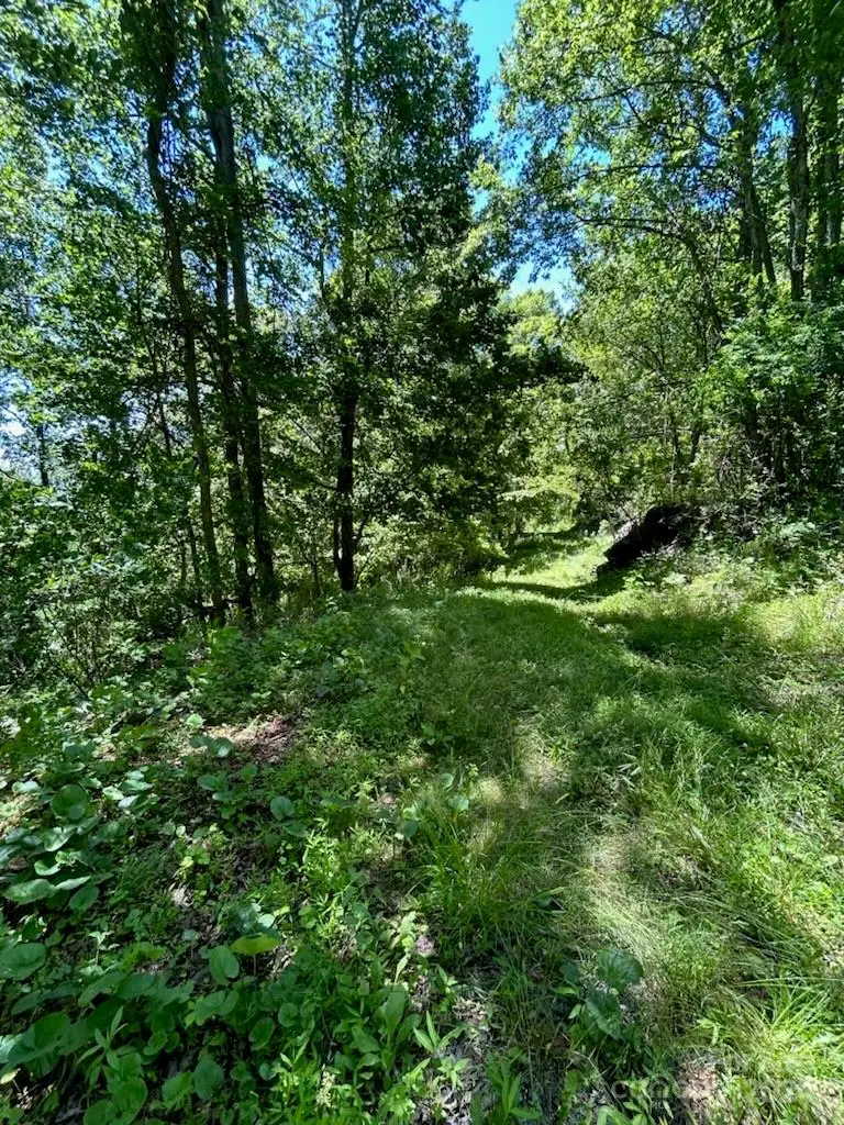 000 Sunset Mountain None #26/27, Bakersville, NC 28705 - Image #3