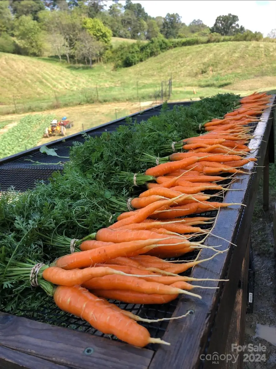 240 Westridge Farm Road #19, Asheville, NC 28804 - Image #3