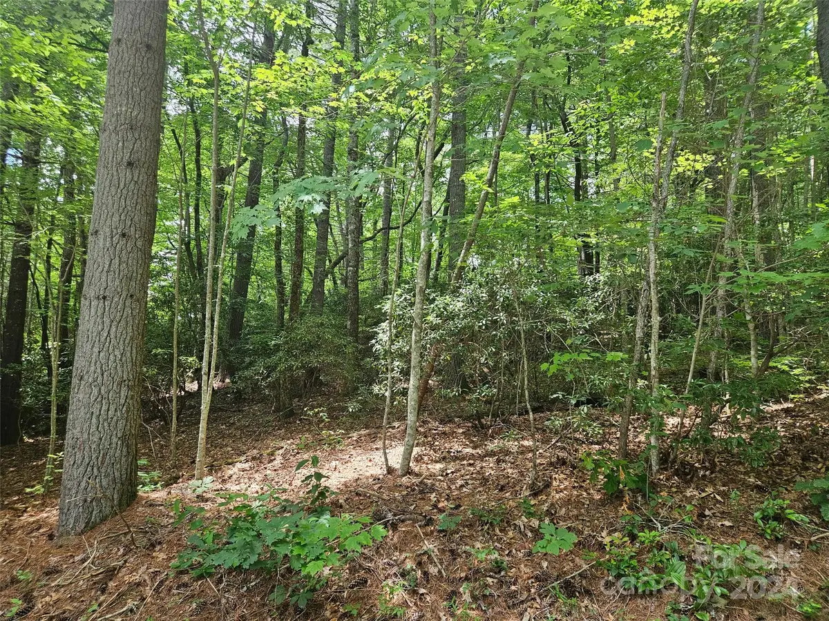 000 Hawk Mountain Road, Lake Toxaway, NC 28747 - Image #1