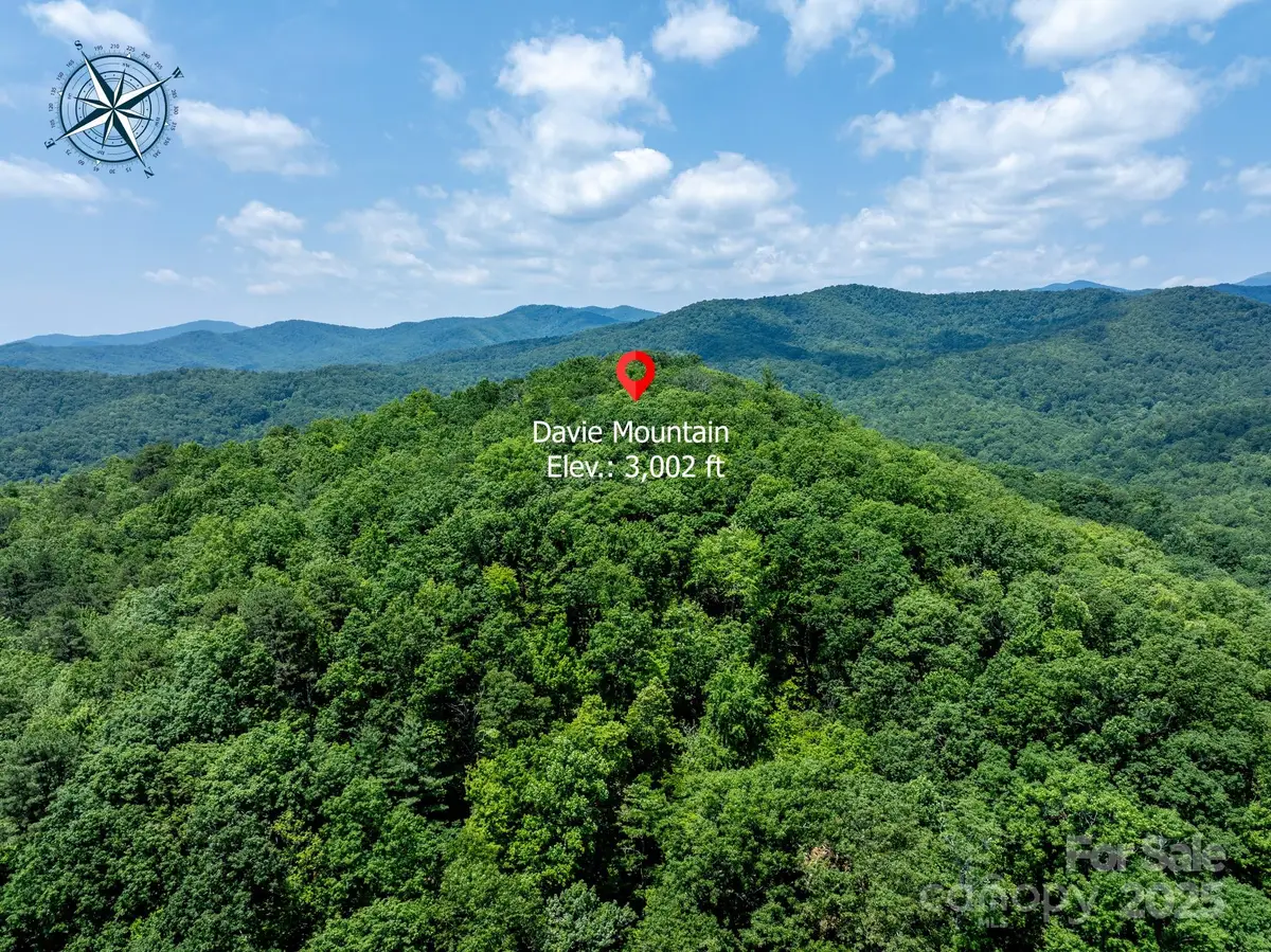 999 Davey Branch Road, Horse Shoe, NC 28742 - #1