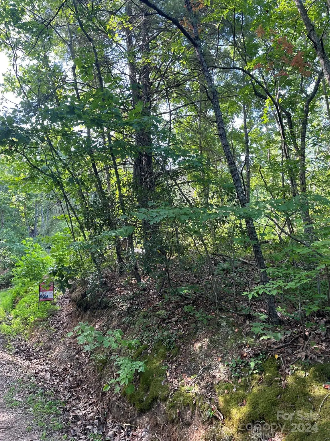 99999 High Top Mountain Road, Leicester, NC 28748 - Image #1