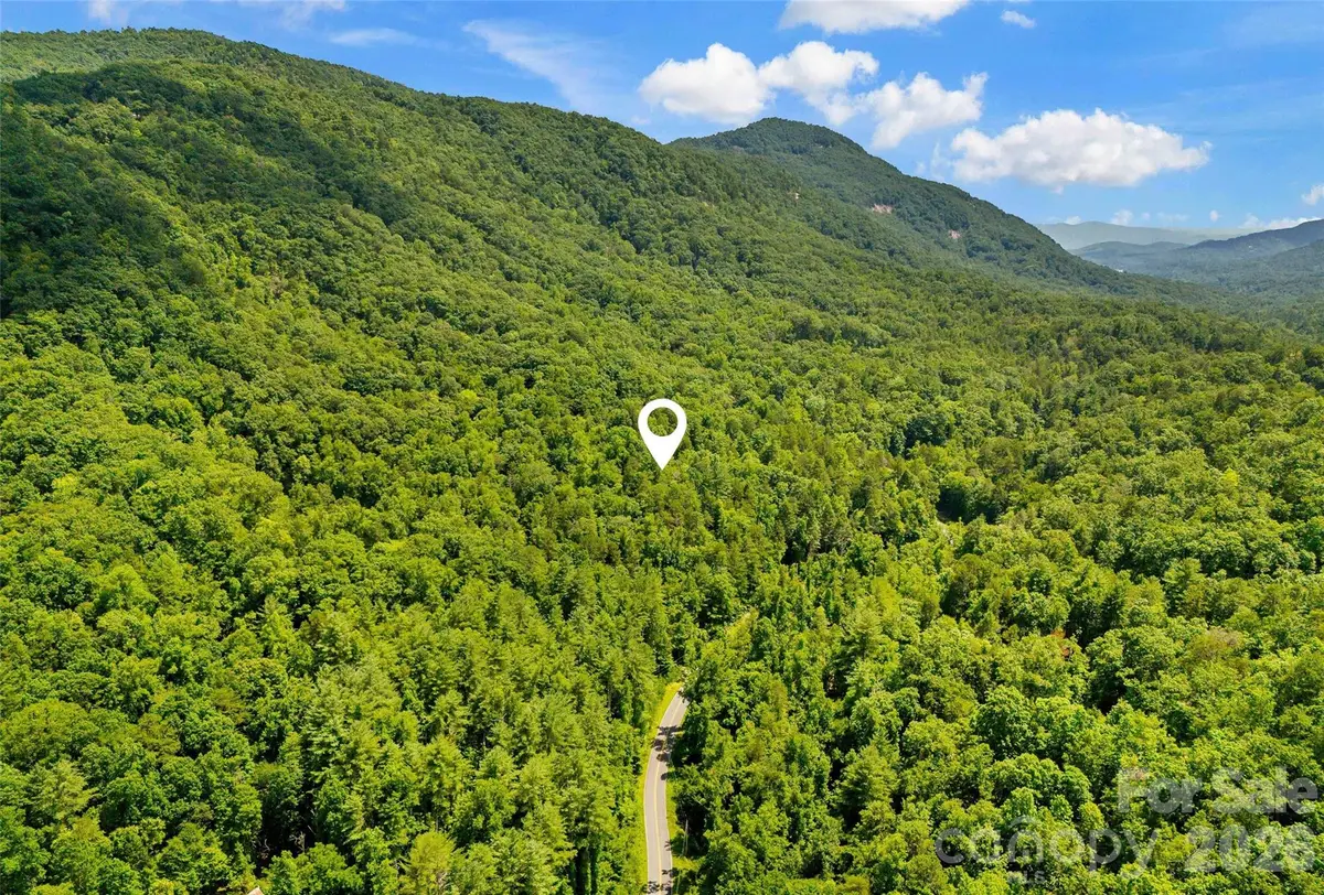 0 Buffalo Creek Road, Lake Lure, NC 28746 - Image #1