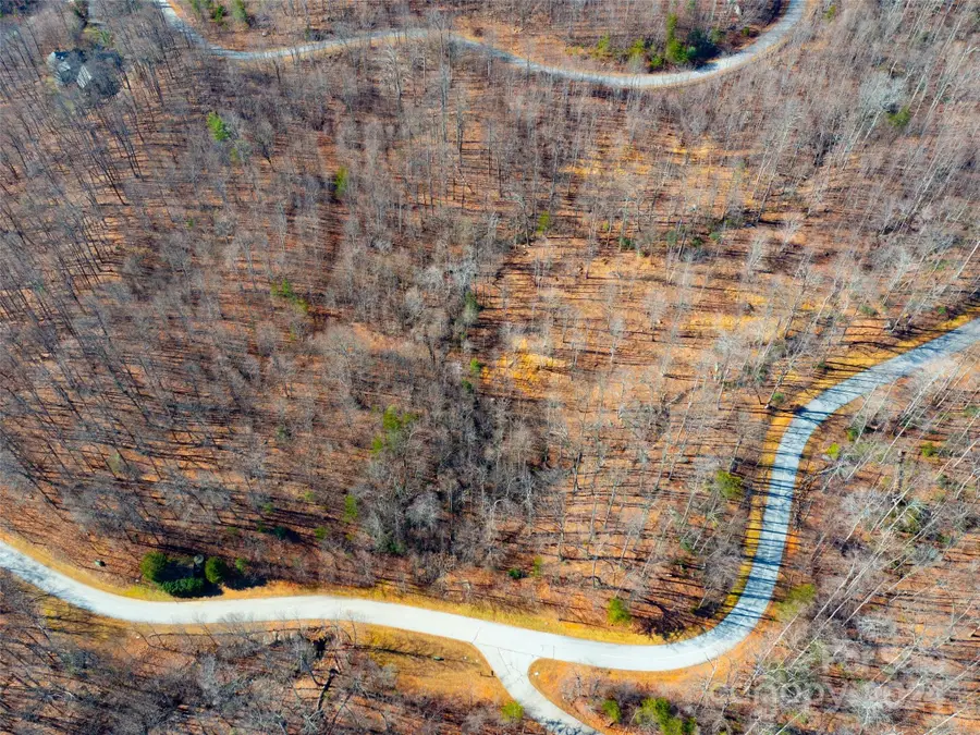 220 Chesterfield Drive, Mill Spring, NC 28756 - Image #3