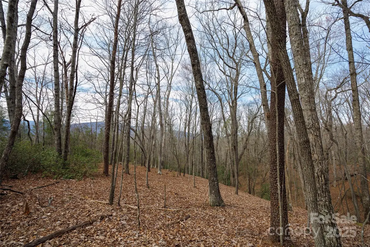 0 Lytle Mountain Road, Old Fort, NC 28762 - Image #1