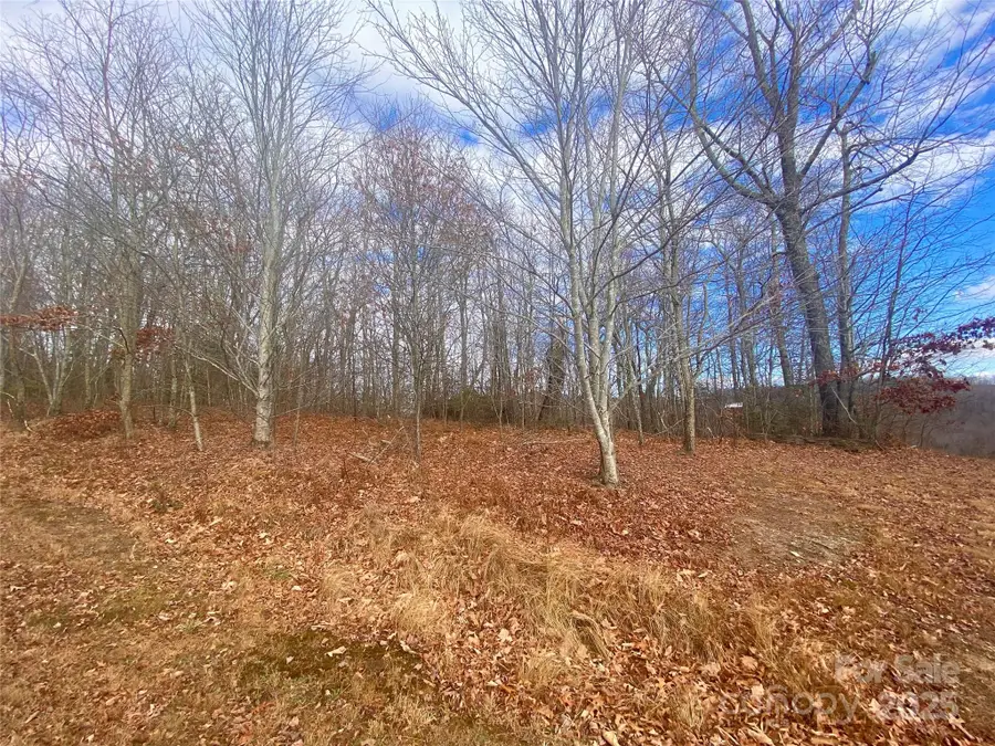 Lot 37 Skyline Road #37, Little Switzerland, NC 28749 - Image #2