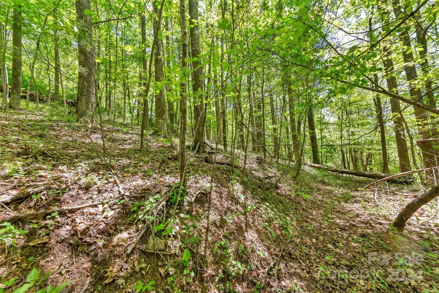 0000 Gouges Creek Road, Spruce Pine, NC 28777 - Image #2