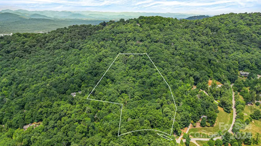 99999 Vance Gap Road, Asheville, NC 28805 - Image #2