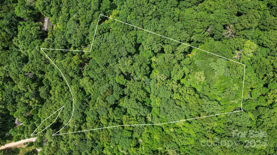 99999 Vance Gap Road, Asheville, NC 28805 - Image #3