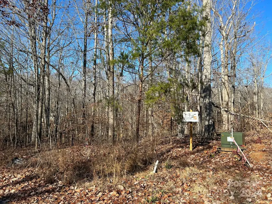 0 Lhasa Apso Lane, Iron Station, NC 28080 - Image #2