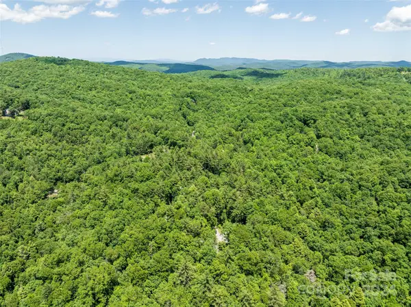 78 Smiling Fox Trail, Brevard, NC 28712