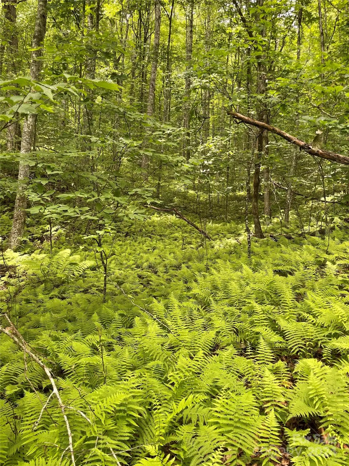 25 Rainbow Trout Drive #25, Tuckasegee, NC 28783 - Image #1