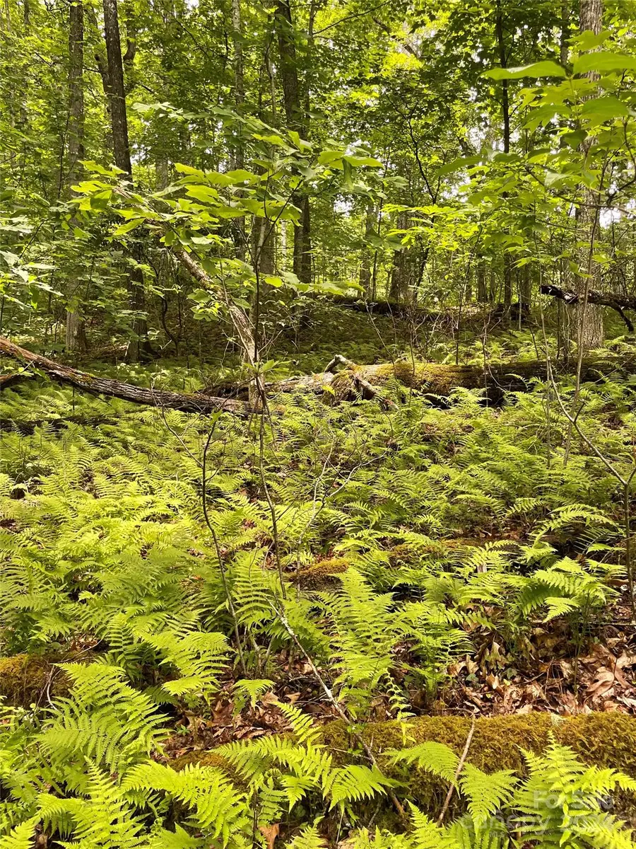 25 Rainbow Trout Drive #25, Tuckasegee, NC 28783 - Image #2