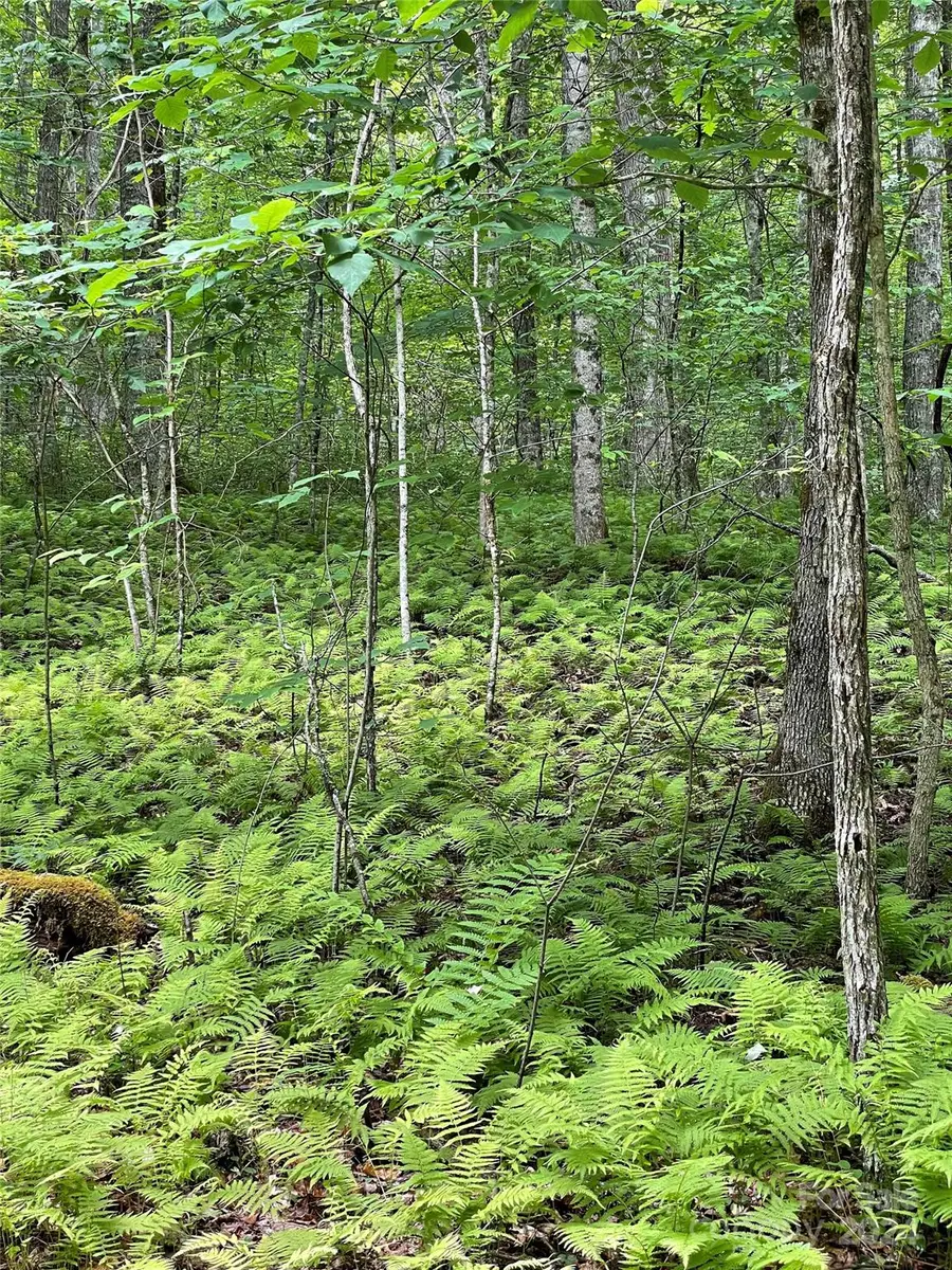 25 Rainbow Trout Drive #25, Tuckasegee, NC 28783 - Image #3