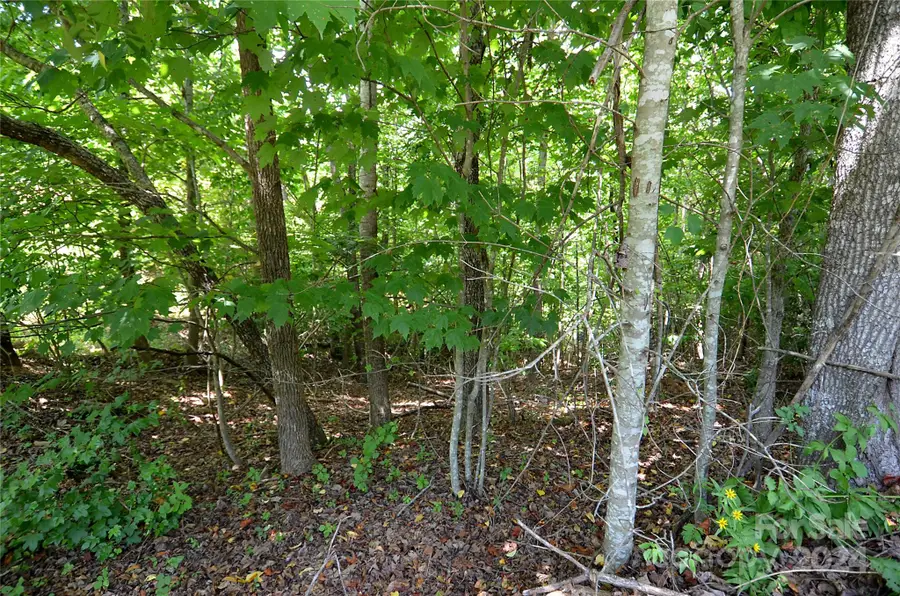 00 Victoria Drive, Marion, NC 28752 - Image #3