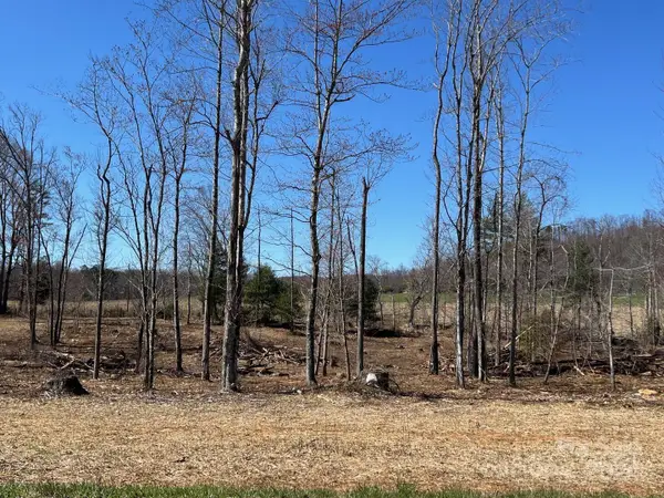 00 Absher Road, Traphill, NC 28685