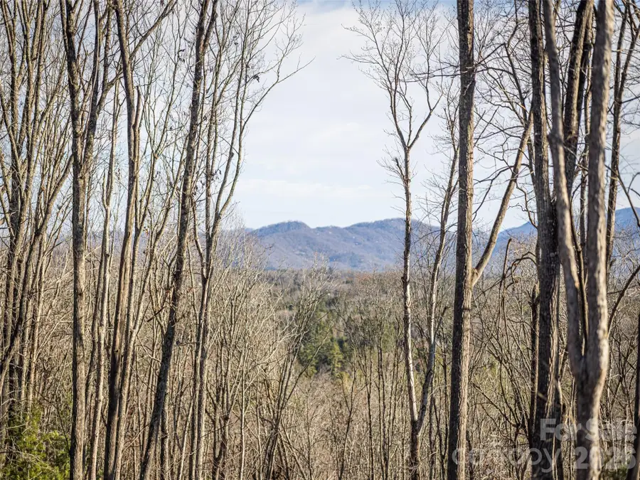 676 Tea House Drive #902, Asheville, NC 28803 - #3